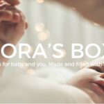 Nora's Box logo